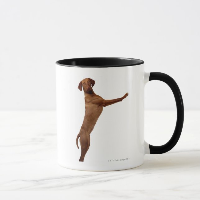 Vizsla Dog Mug (Right)