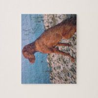 Vizsla puzzle hotsell