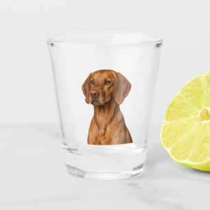 Vizsla Dog Shot Glass