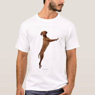 Vizsla Dog T-Shirt