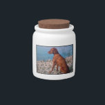 Vizsla Dog Treat Candy Jar<br><div class="desc">This makes a good dog treat jar too.</div>