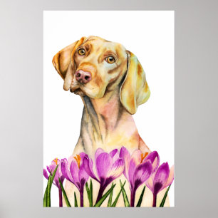 Vizsla Dog Watercolor Painting, Fine Art Poster