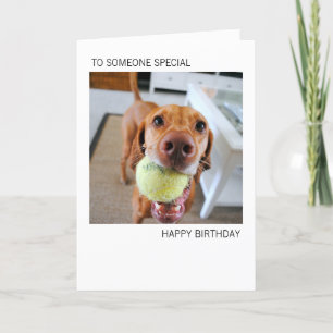 Vizsla Dog With Ball In Mouth Birthday Card