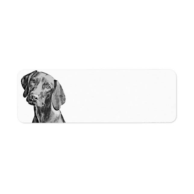 Vizsla Drawing Label (Front)