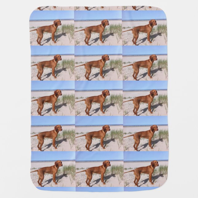 vizsla-full baby blanket (Front)
