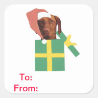 Vizsla Gift Tags To and From Sticker