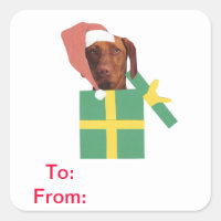 Vizsla Gift Tags To and From Sticker