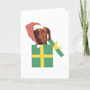 Vizsla Green Gift Box Holiday Card