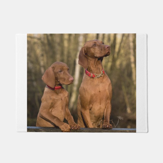 vizsla group doormat (Front)