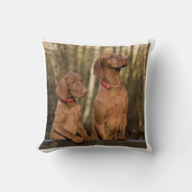 vizsla group throw pillow (Front)