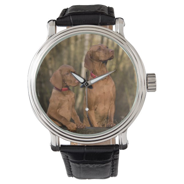 vizsla group watch (Front)