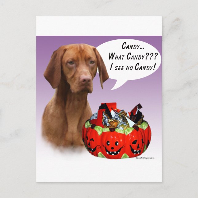 Vizsla Halloween Candy Postcard (Front)