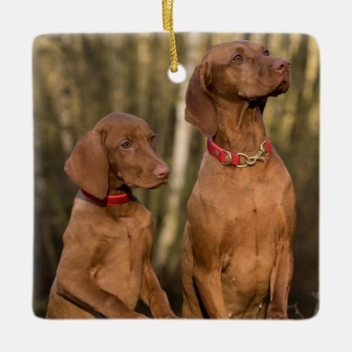 Vizsla Hound Dogs Ceramic Ornament