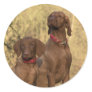 Vizsla Hound Dogs - Hunting Hounds - Classic Round Sticker
