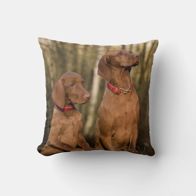 Vizsla Hound Dogs - Hunting Hounds - Throw Pillow (Front)