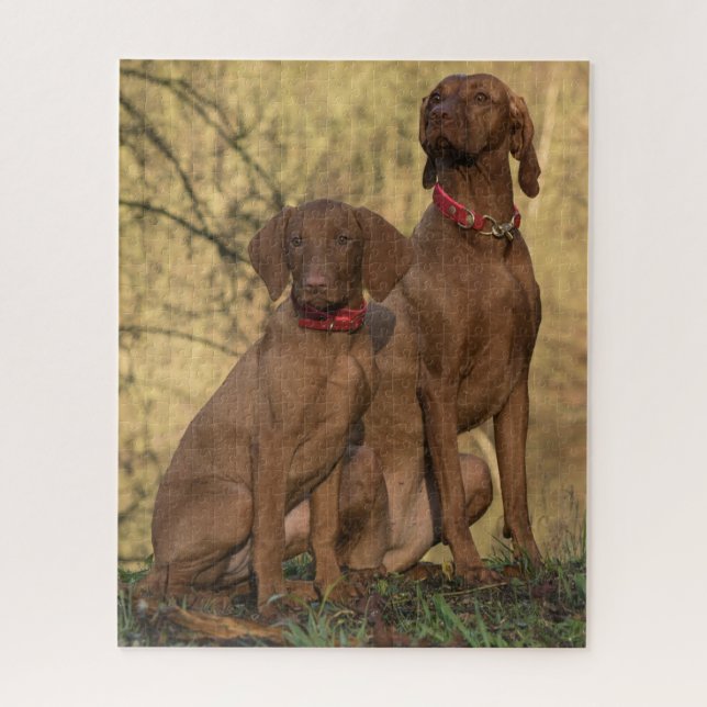 Vizsla Hound Dogs Jigsaw Puzzle (Vertical)