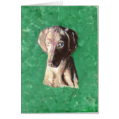 Vizsla, Hungarian Pointer (Front)