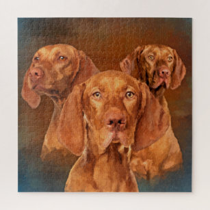 vizsla puzzle