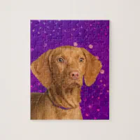 Vizsla puzzle store