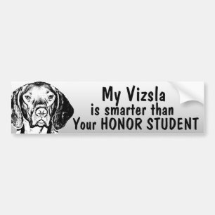 Vizsla is smarter than honor student - funny bumper sticker