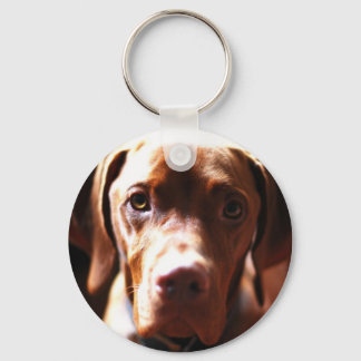 VIZSLA - key chain