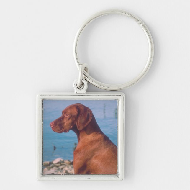 Vizsla Keychain (Front)