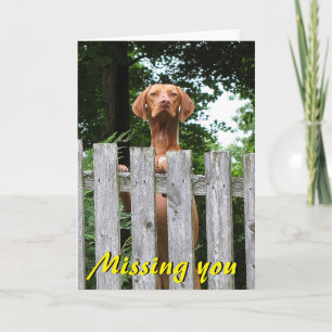 Vizsla "Missing You card" Card