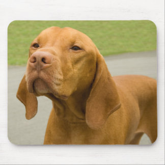 Vizsla Mouse Pad