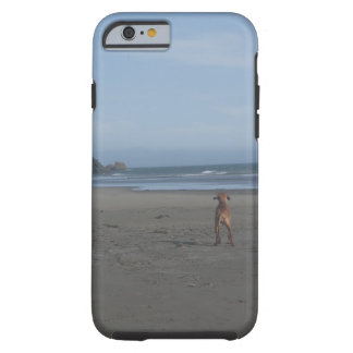 Vizsla on beach phone case