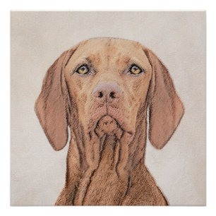 Vizsla Painting - Cute Original Dog Art Poster