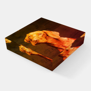Vizsla Paperweight