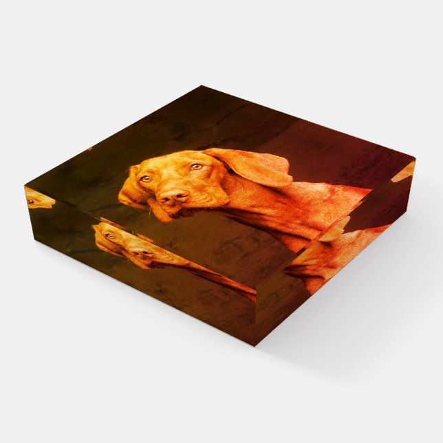Vizsla Paperweight (Angled)