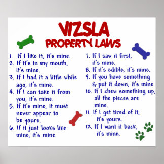 VIZSLA PL2 POSTER
