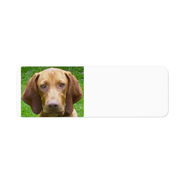 vizsla.png label (Front)