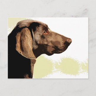 Vizsla Postcard