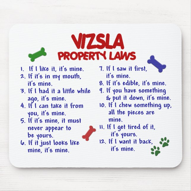 VIZSLA Property Laws 2 Mouse Pad (Front)