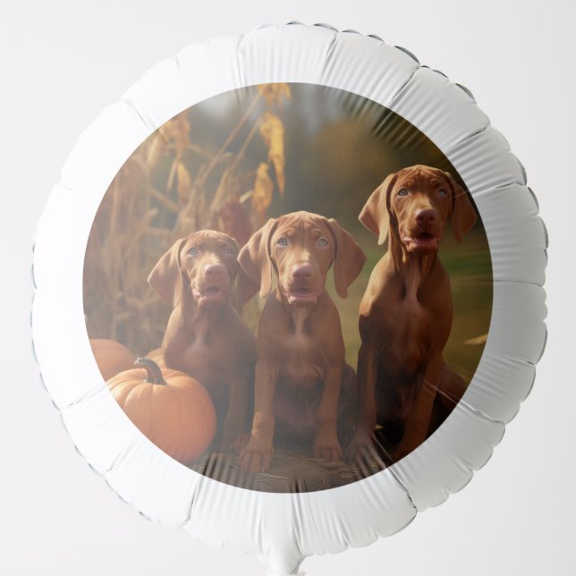 Vizsla Puppy Autumn Delight Pumpkin Balloon (Front)