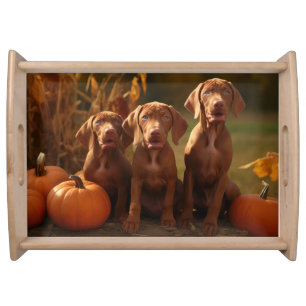 Vizsla Puppy Autumn Delight Pumpkin Serving Tray