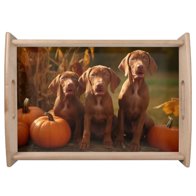 Vizsla Puppy Autumn Delight Pumpkin Serving Tray (Front)