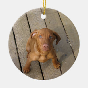 vizsla puppy ceramic ornament
