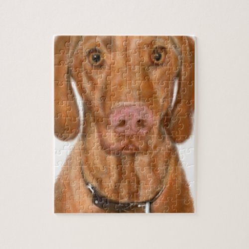 Vizsla Puppy Jigsaw Puzzle