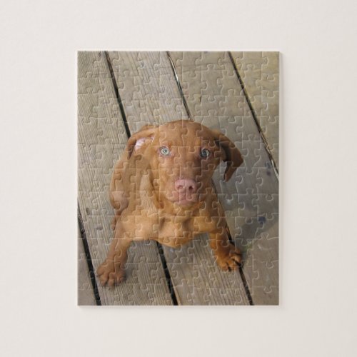 vizsla puppy jigsaw puzzle