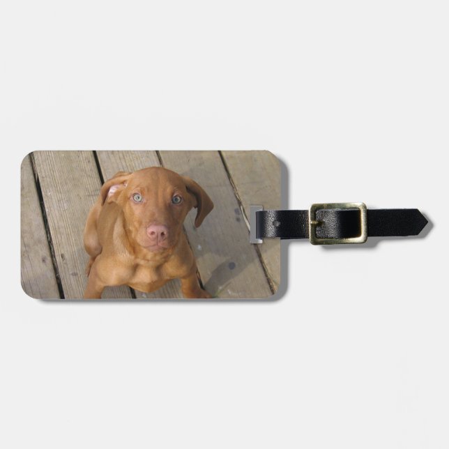vizsla puppy luggage tag (Front Horizontal)