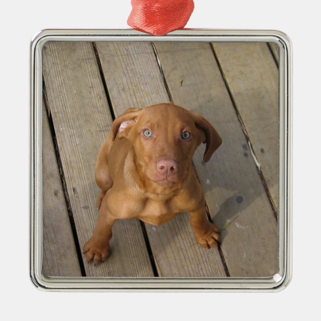 vizsla puppy metal ornament (Front)