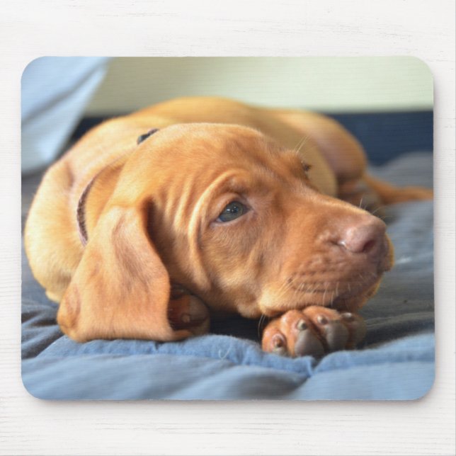 Vizsla Puppy Resting On Its Paw Mouse Pad (Front)