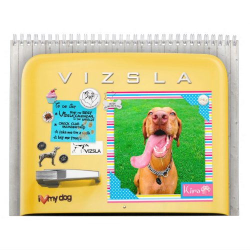 VIZSLA Retro Refrigerator Calendar