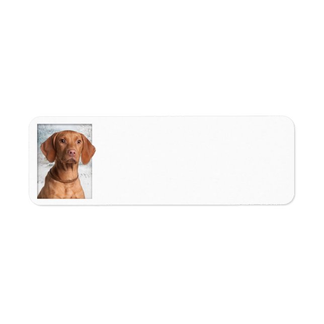 Vizsla Return Address Labels (Front)