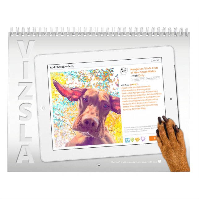 Vizsla Selfie Calendar (Cover)