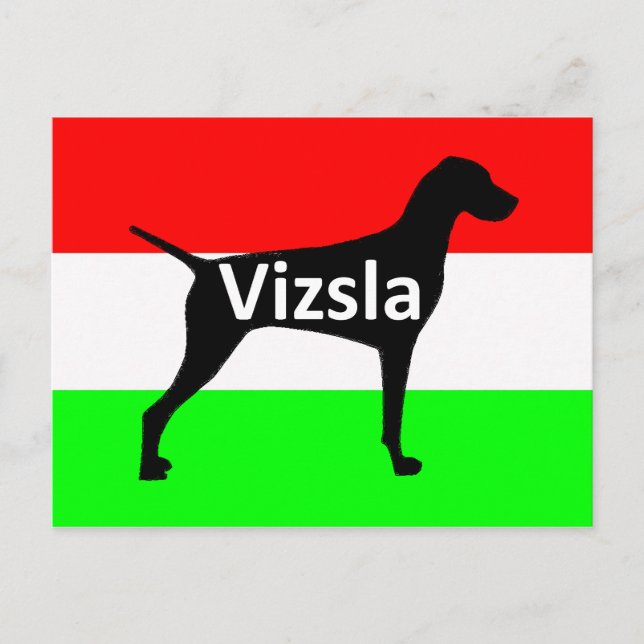 vizsla silo name on Hungary-Flag.png Postcard (Front)
