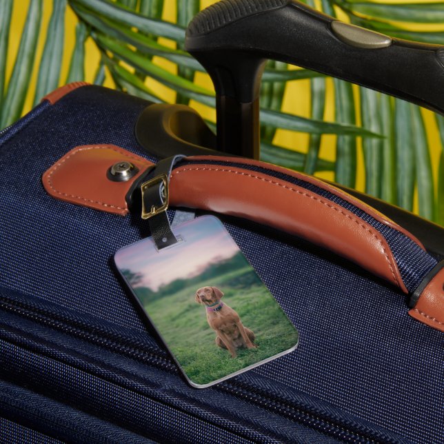 vizsla sitting luggage tag (Front Insitu 1)